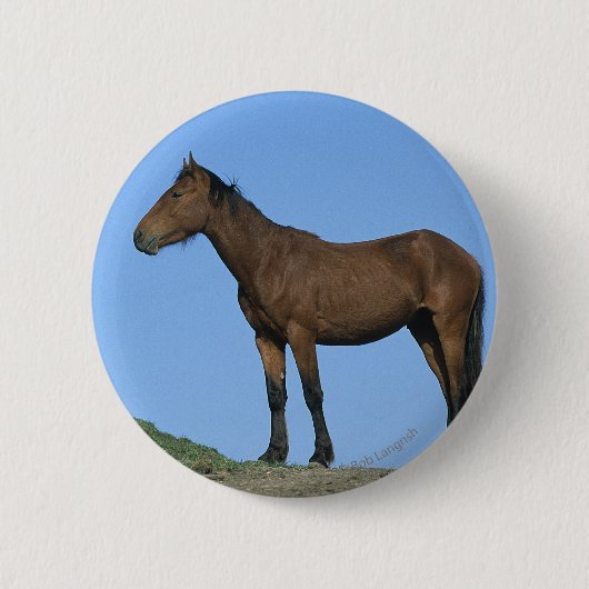 Wild Mustang Horse Ronde Button 5,7 Cm (Voorkant)