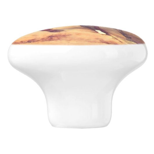 Wild Mustang Horse Waterverf Painting Keramische Knop (Zijkant)