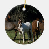 Wild Mustang Horses 1 Keramisch Ornament (Voorkant)