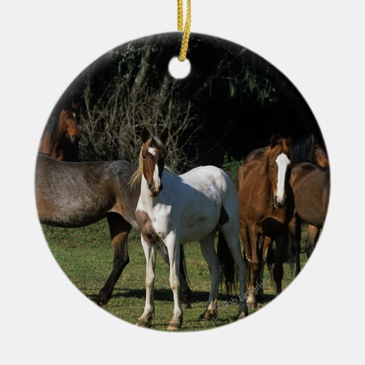 Wild Mustang Horses 1 Keramisch Ornament (Voorkant)