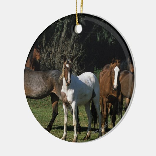 Wild Mustang Horses 1 Keramisch Ornament (Links)