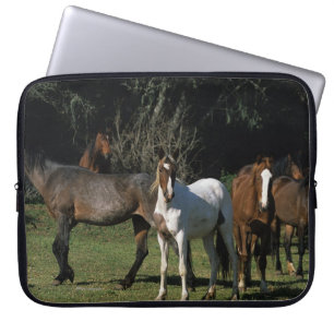 Wild Mustang Horses 1 Laptop Sleeve