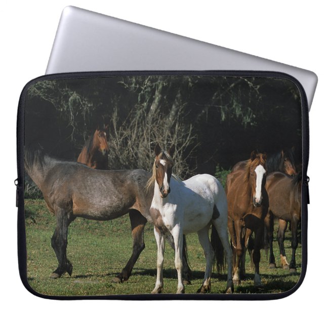 Wild Mustang Horses 1 Laptop Sleeve (Voorkant)