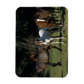 Wild Mustang Horses 1 Magneet (Verticaal)