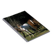 Wild Mustang Horses 1 Notitieboek (Rechterzijde)