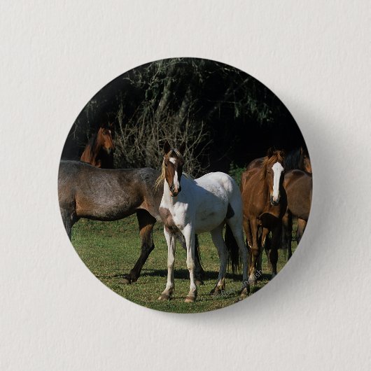 Wild Mustang Horses 1 Ronde Button 5,7 Cm (Voorkant)