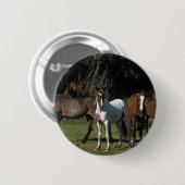 Wild Mustang Horses 1 Ronde Button 5,7 Cm (Voorkant /achterkant)