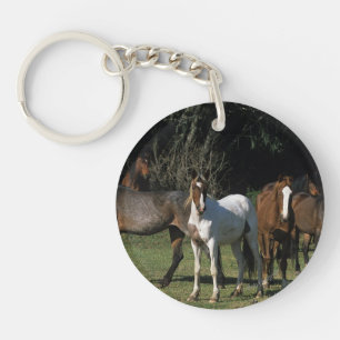 Wild Mustang Horses 1 Sleutelhanger
