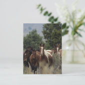 Wild Mustang Horses 2 Briefkaart (Staand voorkant)