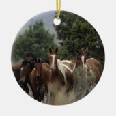 Wild Mustang Horses 2 Keramisch Ornament (Voorkant)