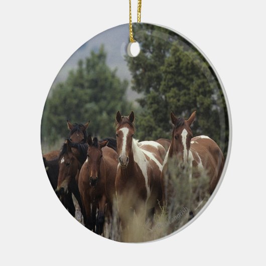 Wild Mustang Horses 2 Keramisch Ornament (Links)