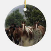 Wild Mustang Horses 2 Keramisch Ornament (Achterkant)