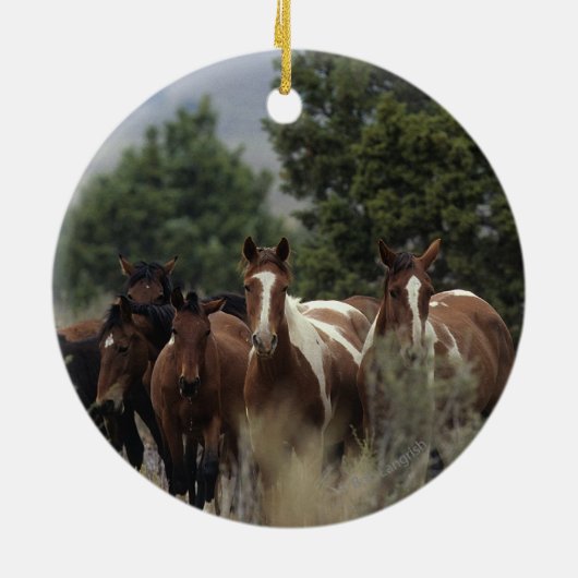 Wild Mustang Horses 2 Keramisch Ornament (Achterkant)