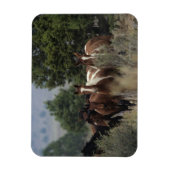Wild Mustang Horses 2 Magneet (Verticaal)