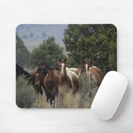 Wild Mustang Horses 2 Muismat (Met muis)