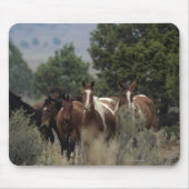 Wild Mustang Horses 2 Muismat (Voorkant)