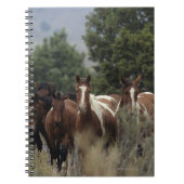 Wild Mustang Horses 2 Notitieboek (Voorkant)