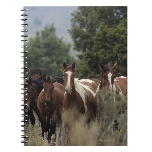 Wild Mustang Horses 2 Notitieboek (Voorkant)