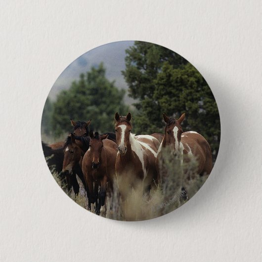 Wild Mustang Horses 2 Ronde Button 5,7 Cm (Voorkant)
