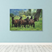 Wild Mustang Horses 3 Canvas Afdruk (Insitu (Houten vloer))