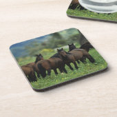 Wild Mustang Horses 3 Drankjes Onderzetter (Linkerzijde)