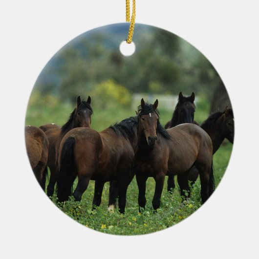 Wild Mustang Horses 3 Keramisch Ornament (Voorkant)