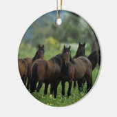 Wild Mustang Horses 3 Keramisch Ornament (Links)