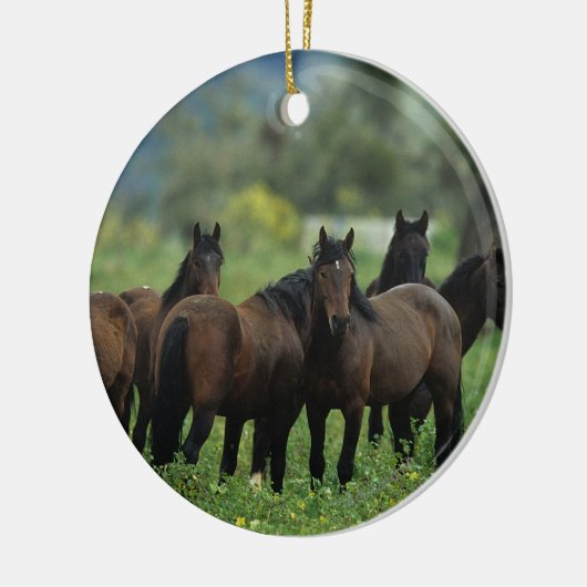 Wild Mustang Horses 3 Keramisch Ornament (Links)