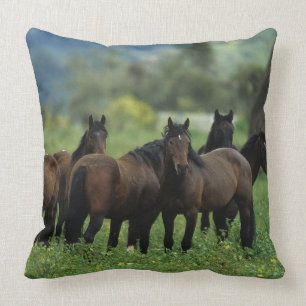 Wild Mustang Horses 3 Kussen