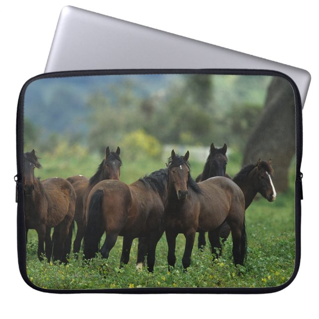 Wild Mustang Horses 3 Laptop Sleeve (Voorkant)