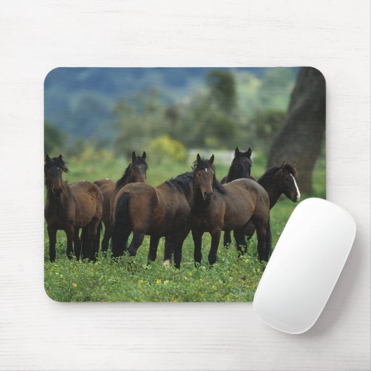 Wild Mustang Horses 3 Muismat (Met muis)