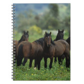 Wild Mustang Horses 3 Notitieboek (Voorkant)