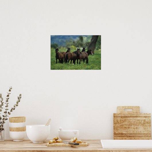 Wild Mustang Horses 3 Poster (Keuken)