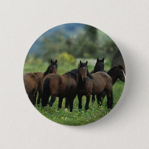 Wild Mustang Horses 3 Ronde Button 5,7 Cm