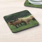 Wild Mustang Horses 4 Bier Onderzetter (Linkerzijde)