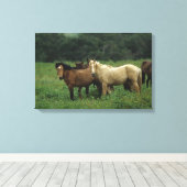 Wild Mustang Horses 4 Canvas Afdruk (Insitu (Houten vloer))
