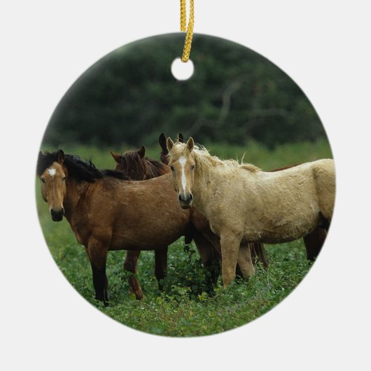 Wild Mustang Horses 4 Keramisch Ornament (Voorkant)