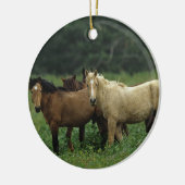 Wild Mustang Horses 4 Keramisch Ornament (Links)