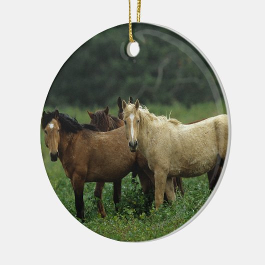 Wild Mustang Horses 4 Keramisch Ornament (Links)