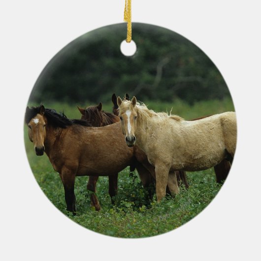 Wild Mustang Horses 4 Keramisch Ornament (Achterkant)