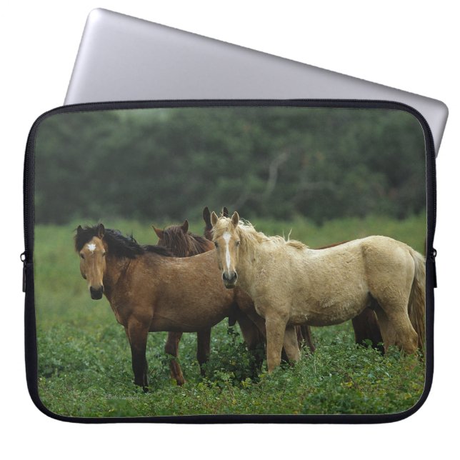 Wild Mustang Horses 4 Laptop Sleeve (Voorkant)