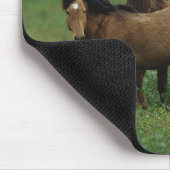 Wild Mustang Horses 4 Muismat (Hoek)