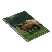 Wild Mustang Horses 4 Notitieboek (Rechterzijde)