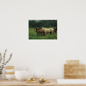 Wild Mustang Horses 4 Poster (Keuken)