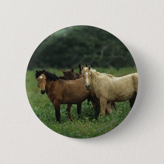Wild Mustang Horses 4 Ronde Button 5,7 Cm (Voorkant)