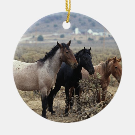 Wild Mustang Horses 5 Keramisch Ornament (Voorkant)
