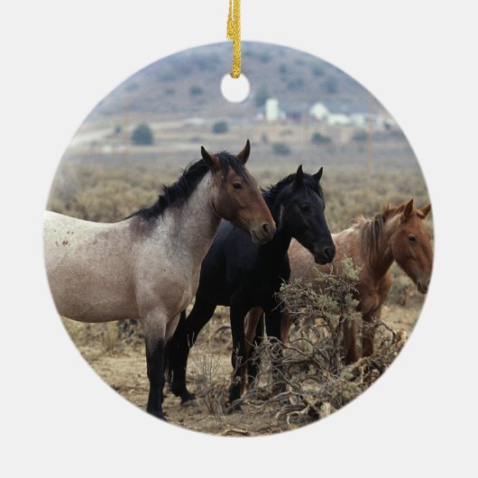 Wild Mustang Horses 5 Keramisch Ornament (Achterkant)