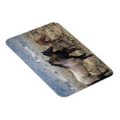 Wild Mustang Horses 5 Magneet (Rechterzijde)