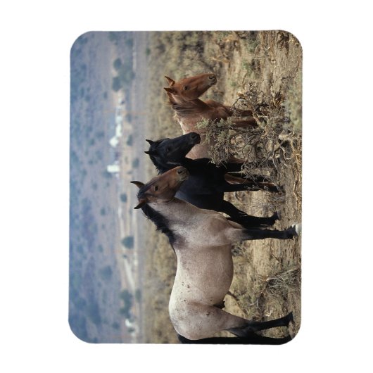 Wild Mustang Horses 5 Magneet (Verticaal)