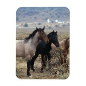 Wild Mustang Horses 5 Magneet (Verticaal)